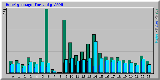 Hourly usage for July 2025