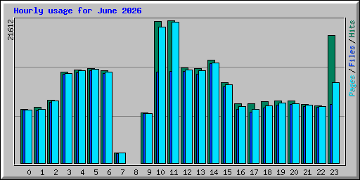 Hourly usage for June 2026